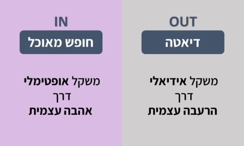 שקופית8