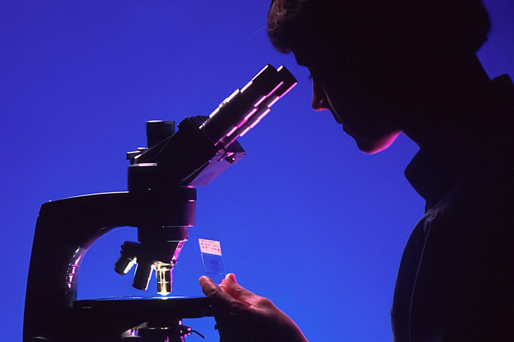 דפוסי חשיבה והרגלי אכילה - אופירה שאול - חופש מאוכל