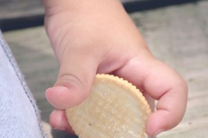 איך מתפתחים הרגלי האכילה הרגשית אצל ילדים - אופירה שאול חופש מאוכל